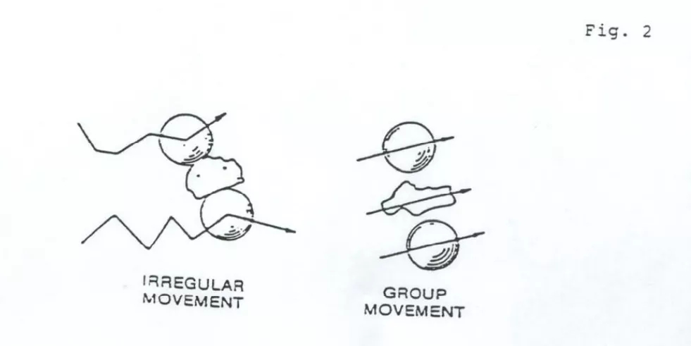 1640855519197074.jpg 2.webp.jpg